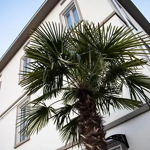  Gasthof Le Palme